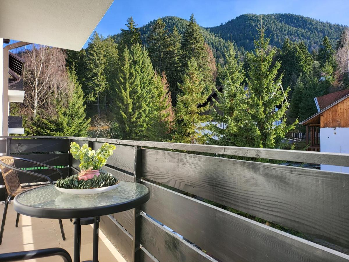 Dinvis Apartments Poiana Brasov Exteriör bild