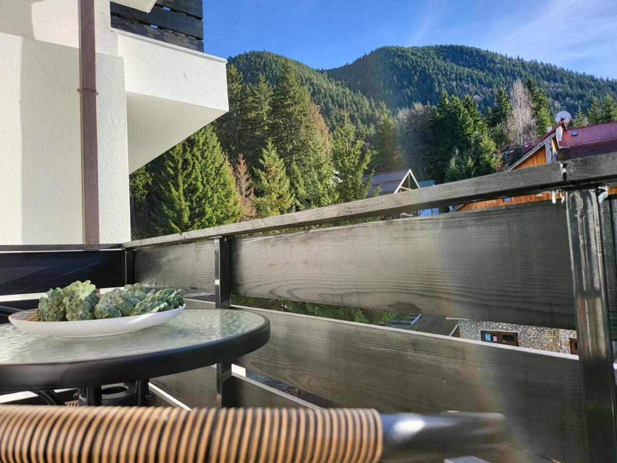 Dinvis Apartments Poiana Brasov Exteriör bild